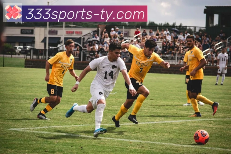 AI Risk Control